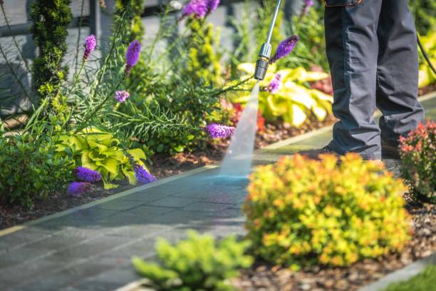 Best Parking Lot and Garage Cleaning  in Somerset, KY