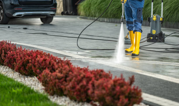 Best Driveway Pressure Washing  in Somerset, KY